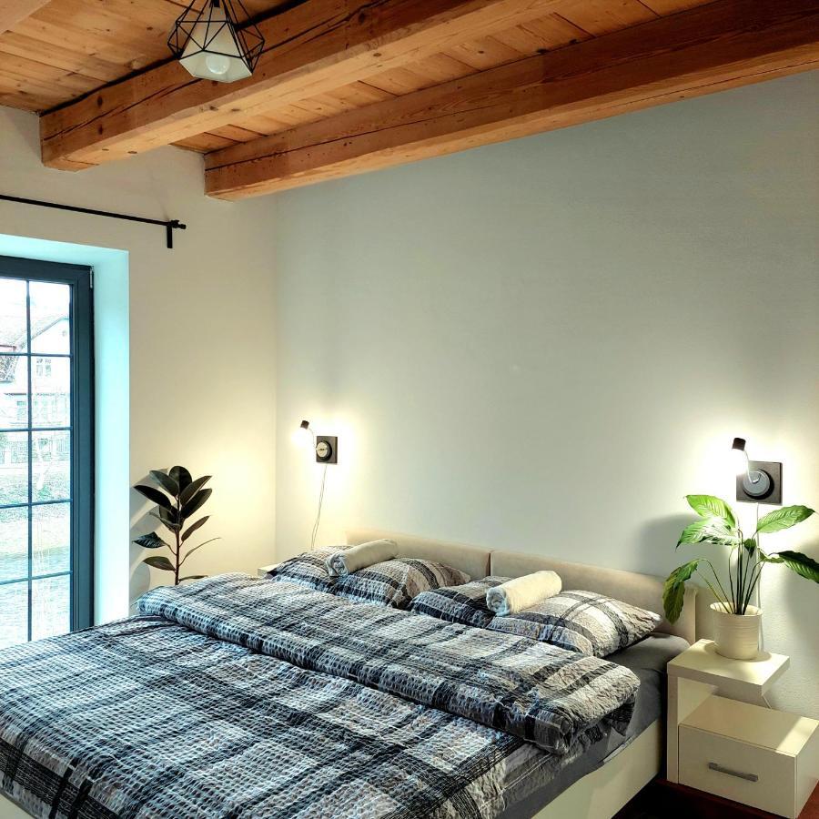 Rezidence Valcha Apartment Sušice